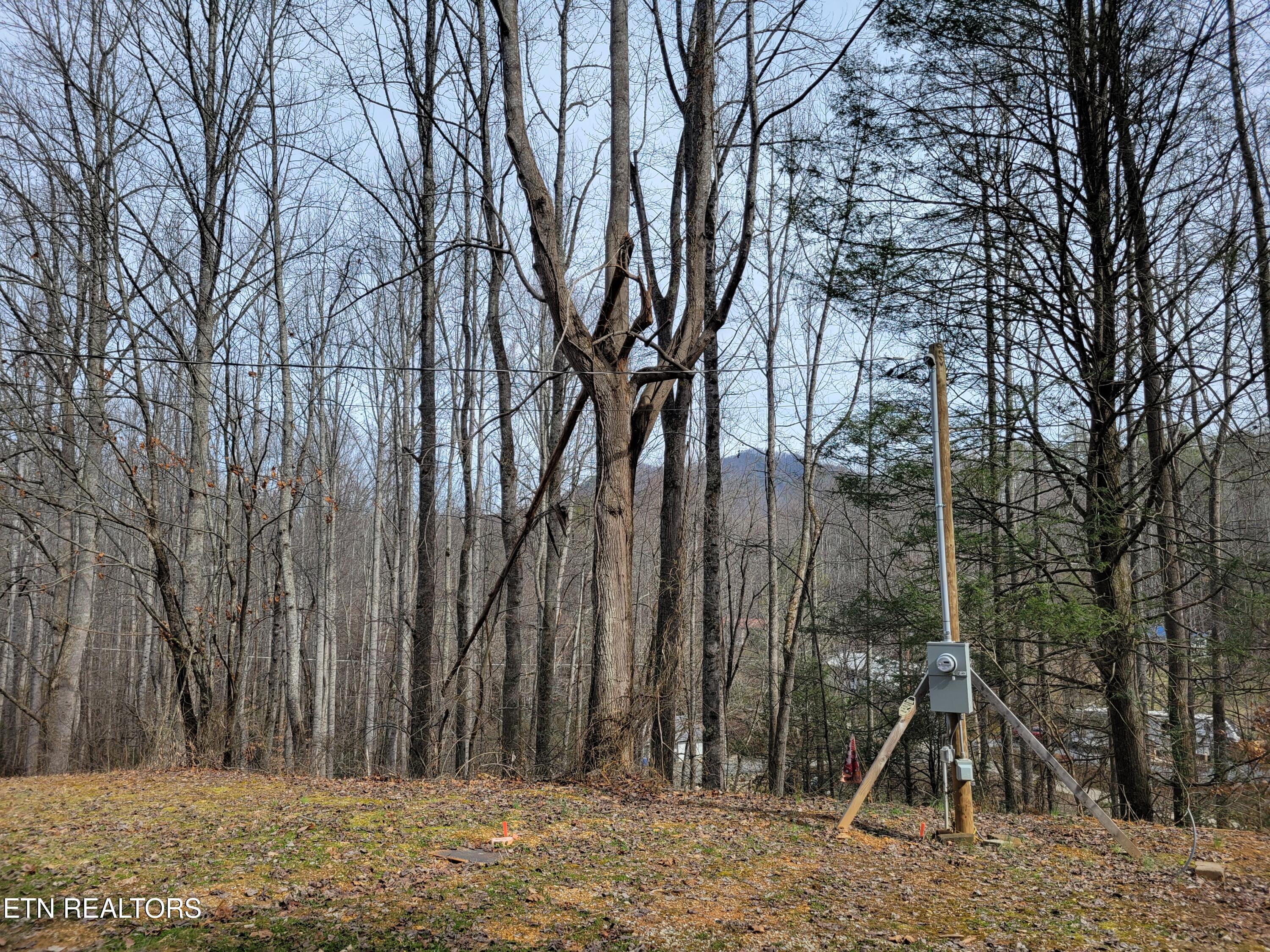 4300 Shults Road Cosby, TN 37722 - Photo 9 of 13 20250214_120235