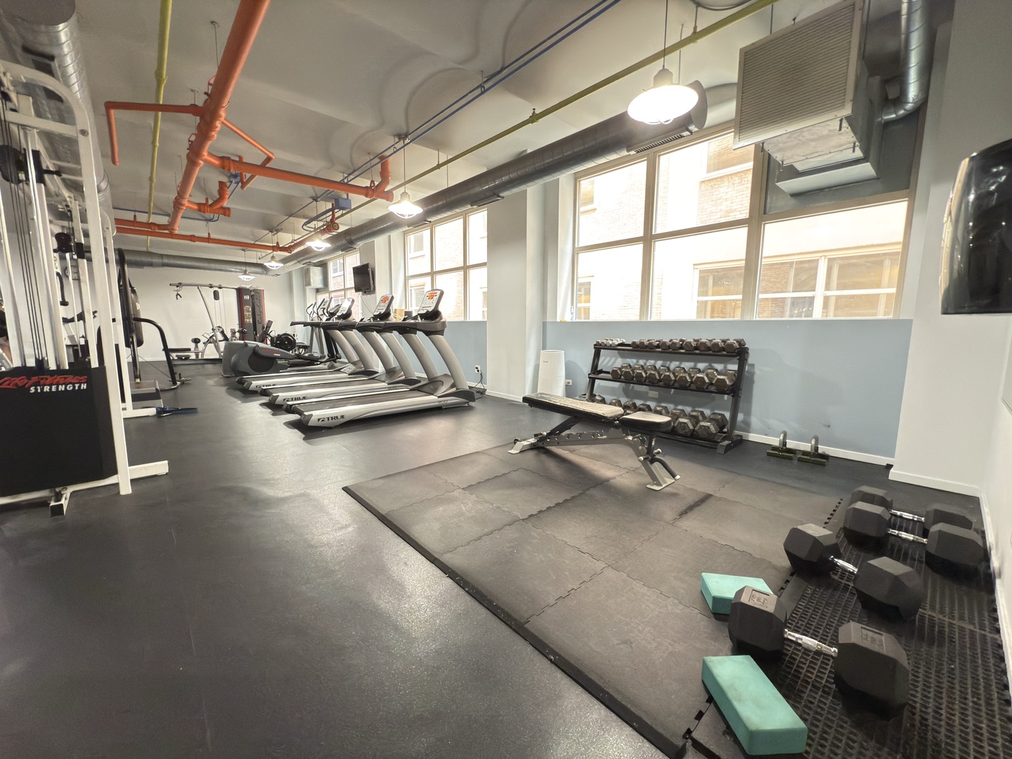 500 South Clinton Street, Unit 243 Chicago, IL 60607 - Photo 15 of 17 Gallery Image 15