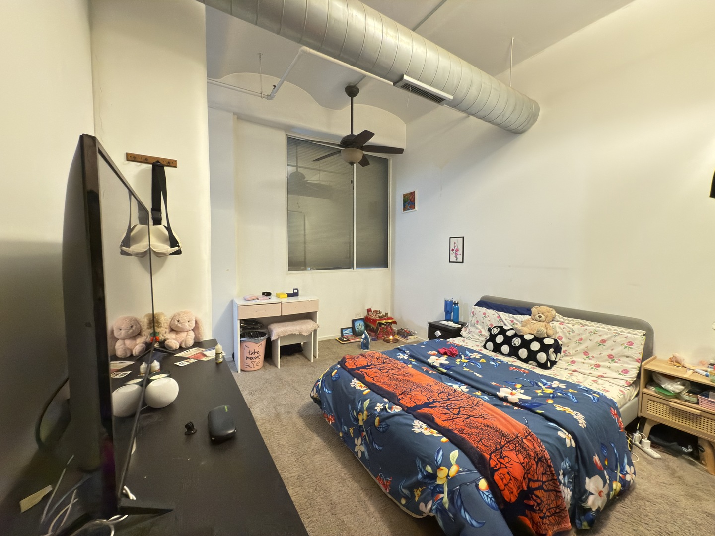 500 South Clinton Street, Unit 243 Chicago, IL 60607 - Photo 6 of 17 Gallery Image 6
