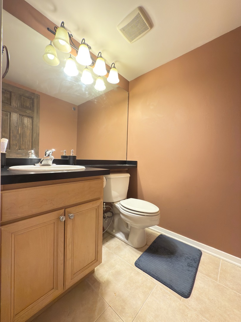 500 South Clinton Street, Unit 243 Chicago, IL 60607 - Photo 10 of 17 Gallery Image 10