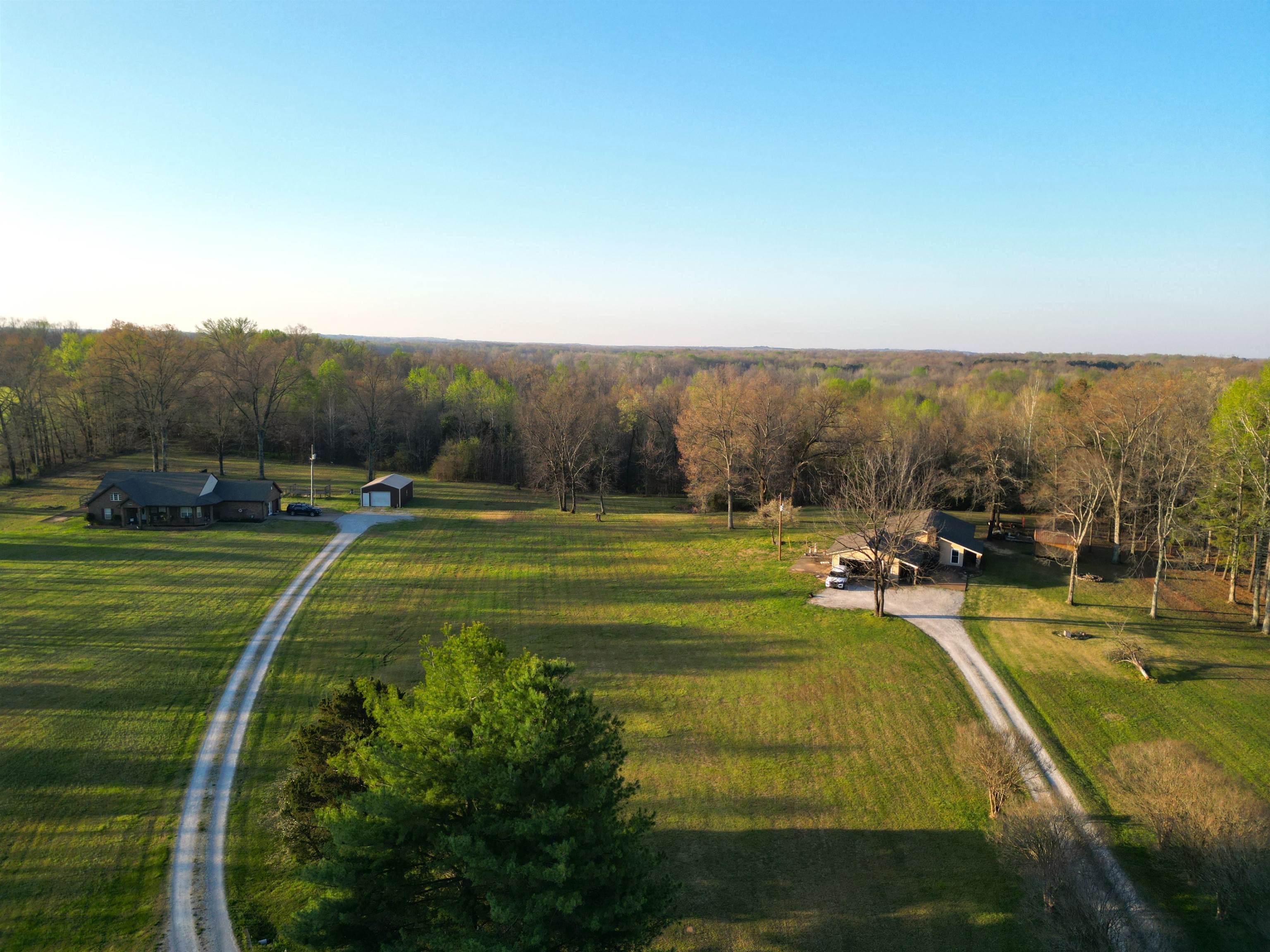 1240 Joann Road Somerville, TN 38068 - Photo 3 of 12 View of rural area with a forest