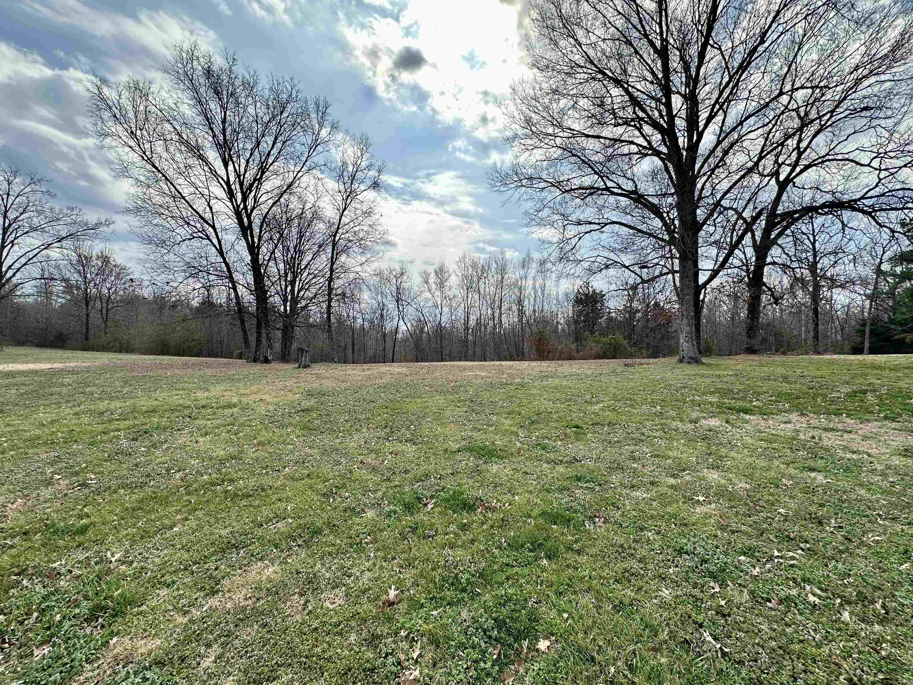 1240 Joann Road Somerville, TN 38068 - Photo 7 of 12 View of green lawn