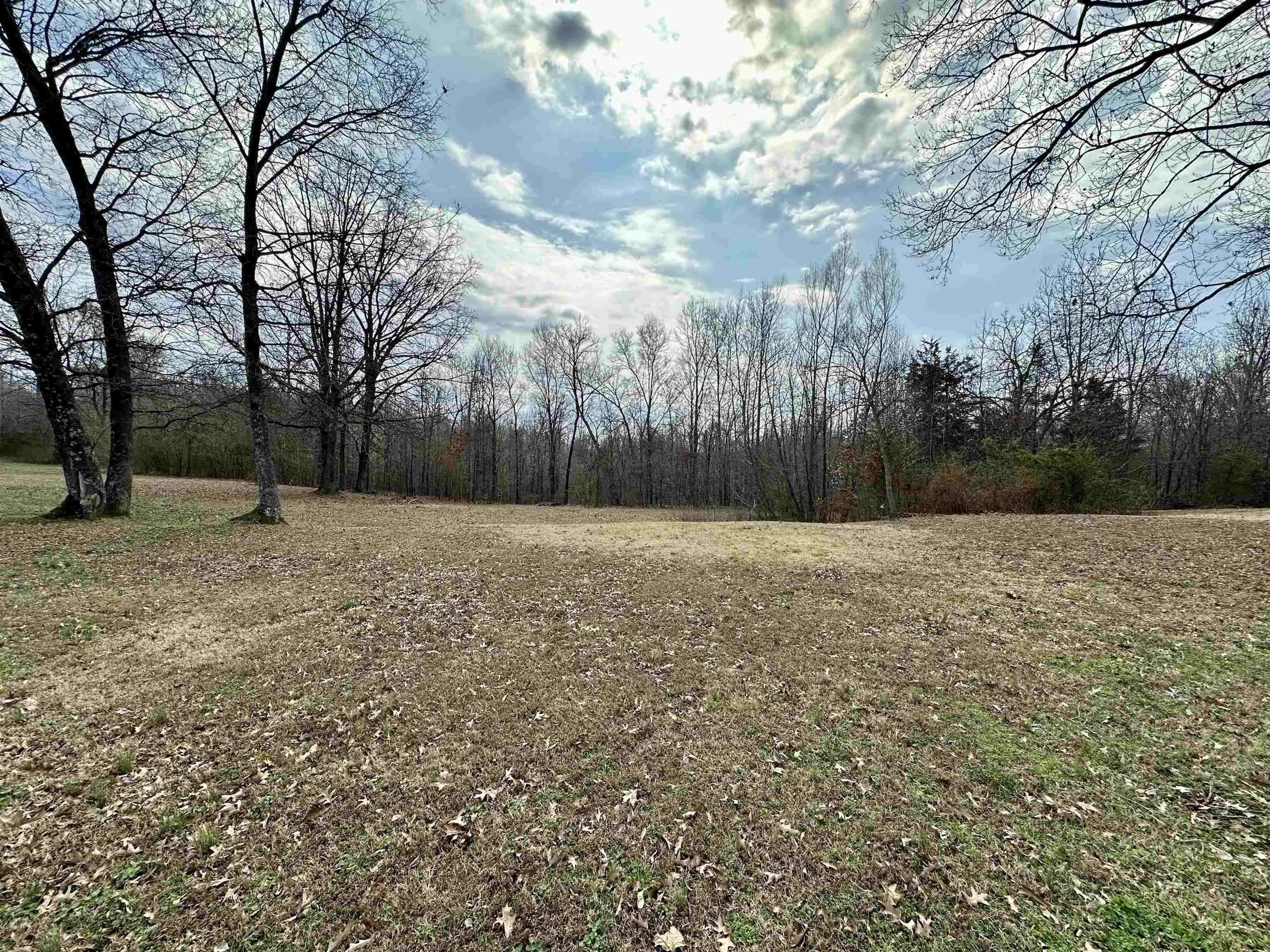 1240 Joann Road Somerville, TN 38068 - Photo 8 of 12 View of yard