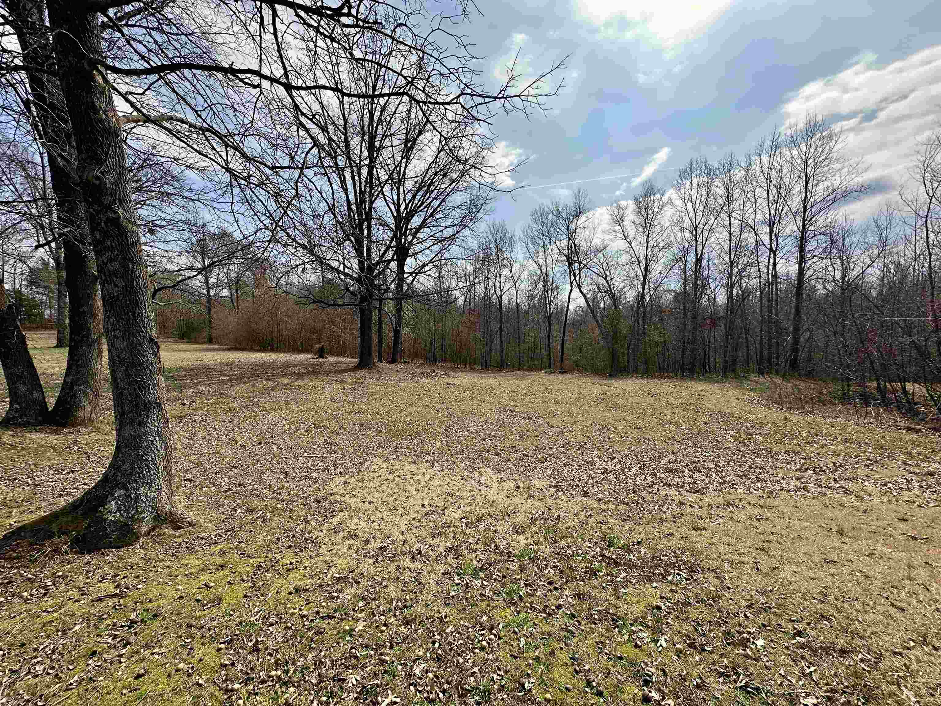 1240 Joann Road Somerville, TN 38068 - Photo 9 of 12 View of yard