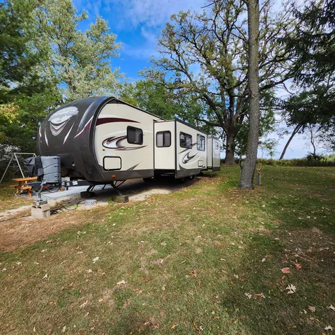 a view of a yard with a tree