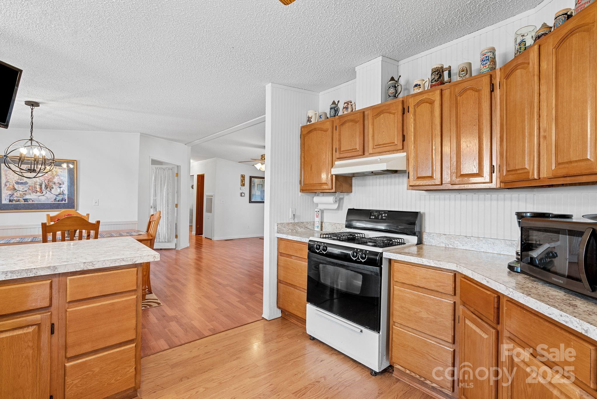 202 Richard Road Ellenboro, NC 28040 - Photo 10 of 46 Gallery Image 10