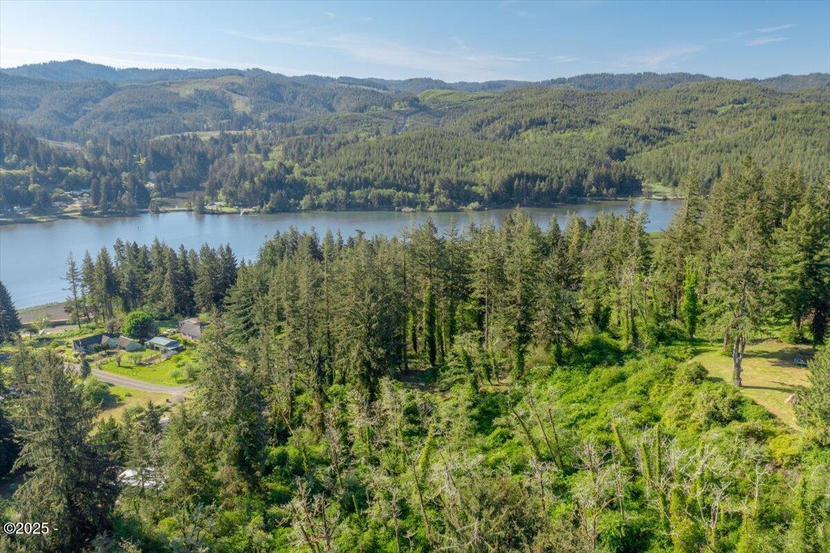 1600 Criteser Loop Toledo, OR 97391 - Photo 6 of 12 06-DJI_0689