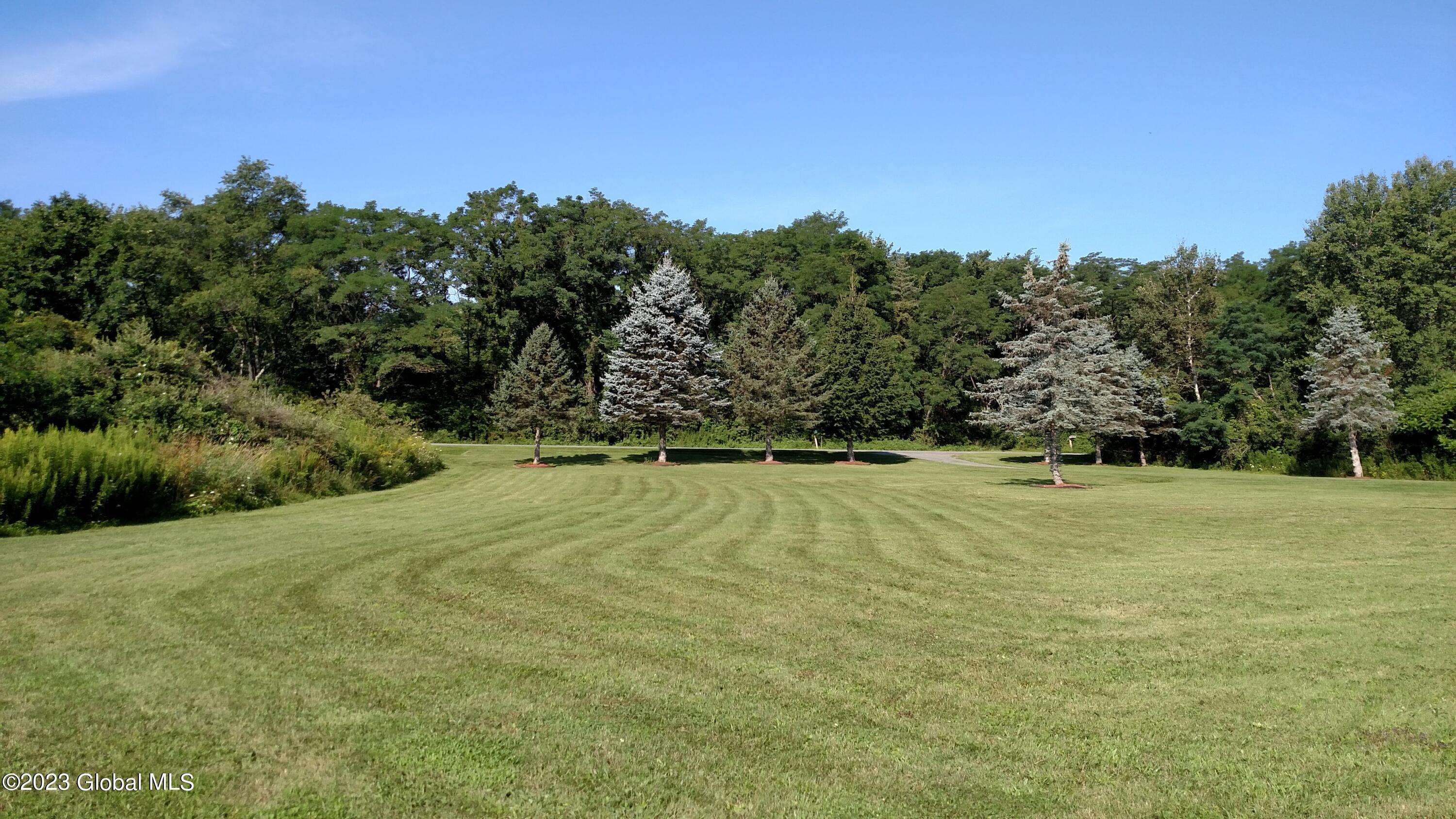 63 Durfee Road Buskirk, NY 12028 - Photo 15 of 19 16 Front Yard