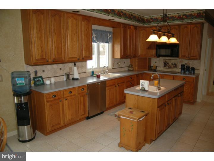 7 Back Brook Road Ringoes, NJ 08551 - Photo 4 of 19 Kitchen