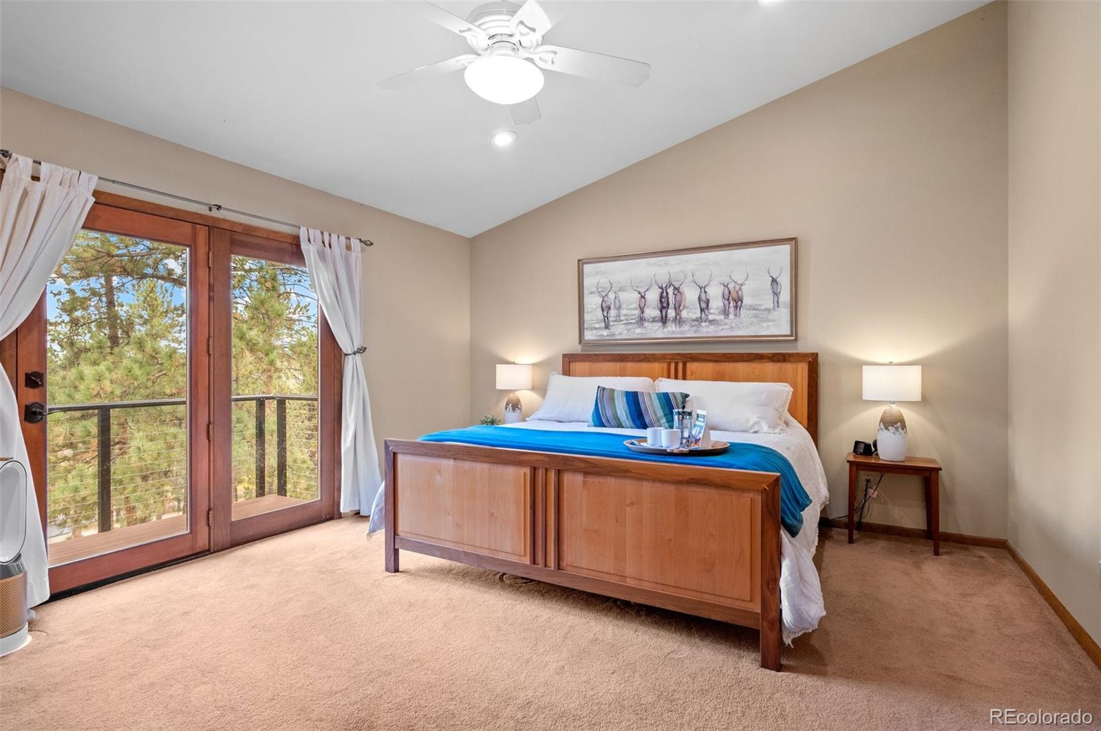29971 Dorothy Road Evergreen, CO 80439 - Photo 17 of 45 Gallery Image 17