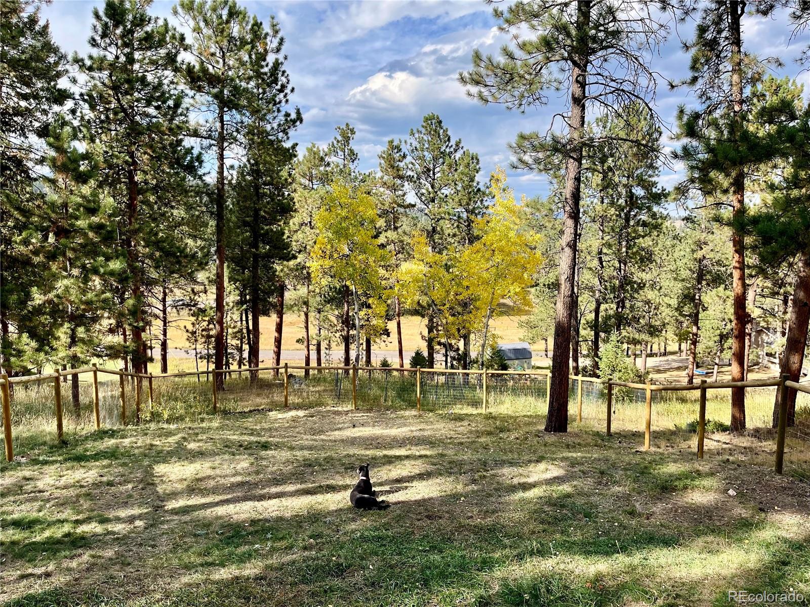 29971 Dorothy Road Evergreen, CO 80439 - Photo 42 of 45 Gallery Image 42