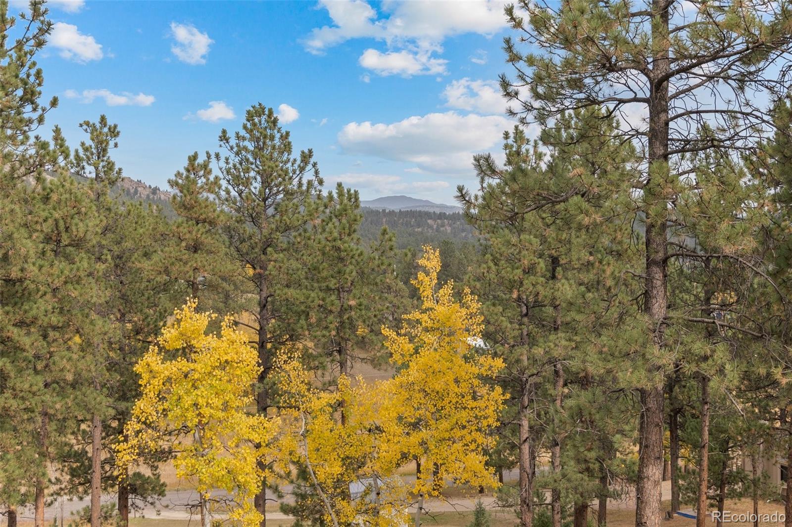 29971 Dorothy Road Evergreen, CO 80439 - Photo 5 of 45 Gallery Image 5