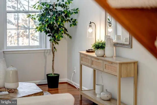 a living room with furniture and a potted plant