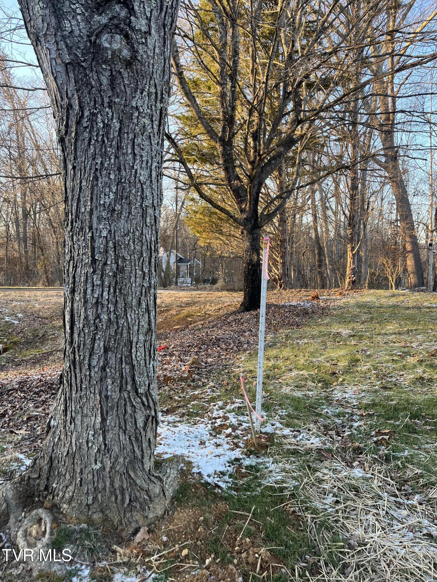 101 Lexington Court, Unit 13 Greeneville, TN 37745 - Photo 3 of 12 IMG_3755