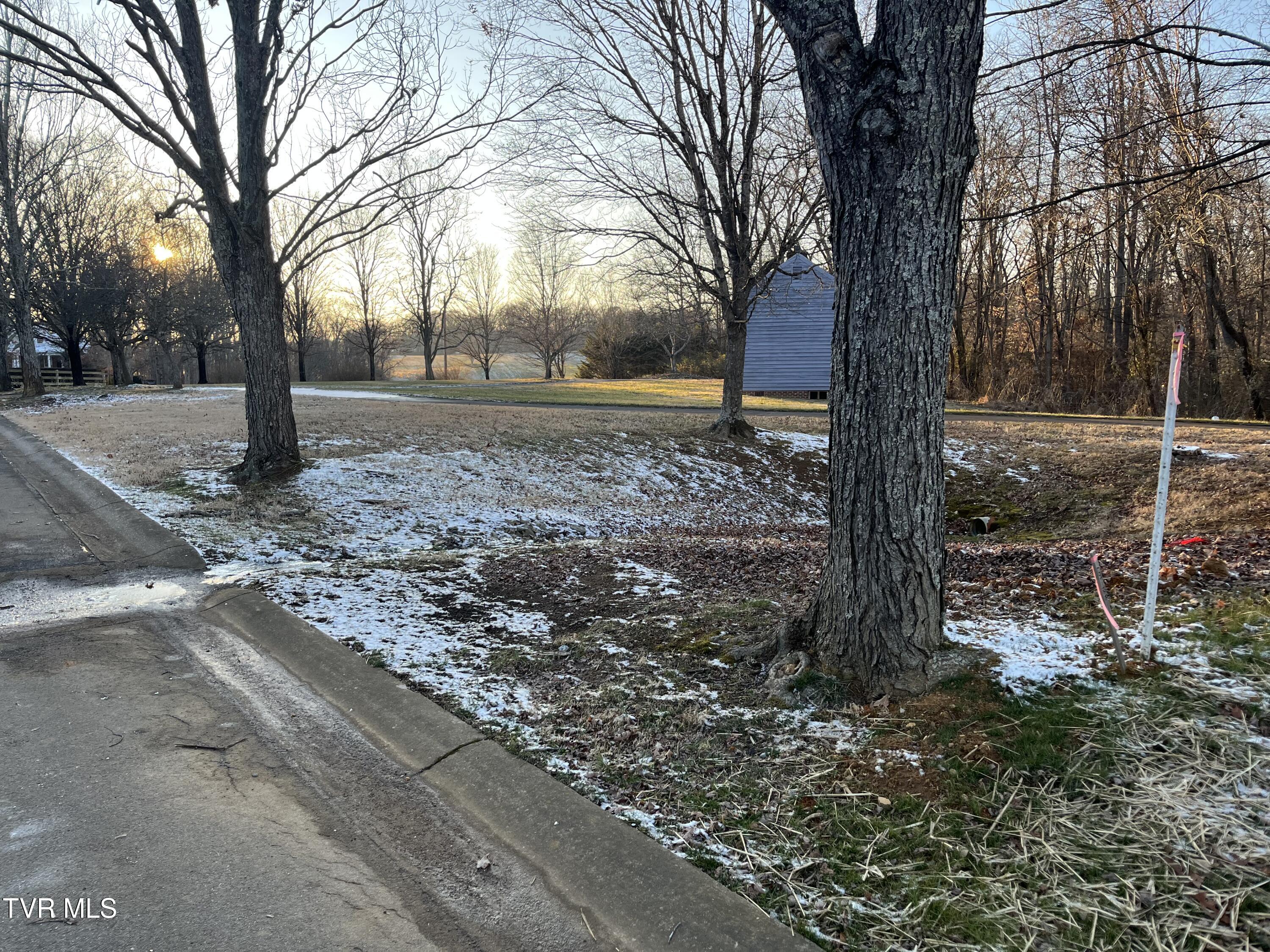 101 Lexington Court, Unit 13 Greeneville, TN 37745 - Photo 4 of 12 IMG_3756