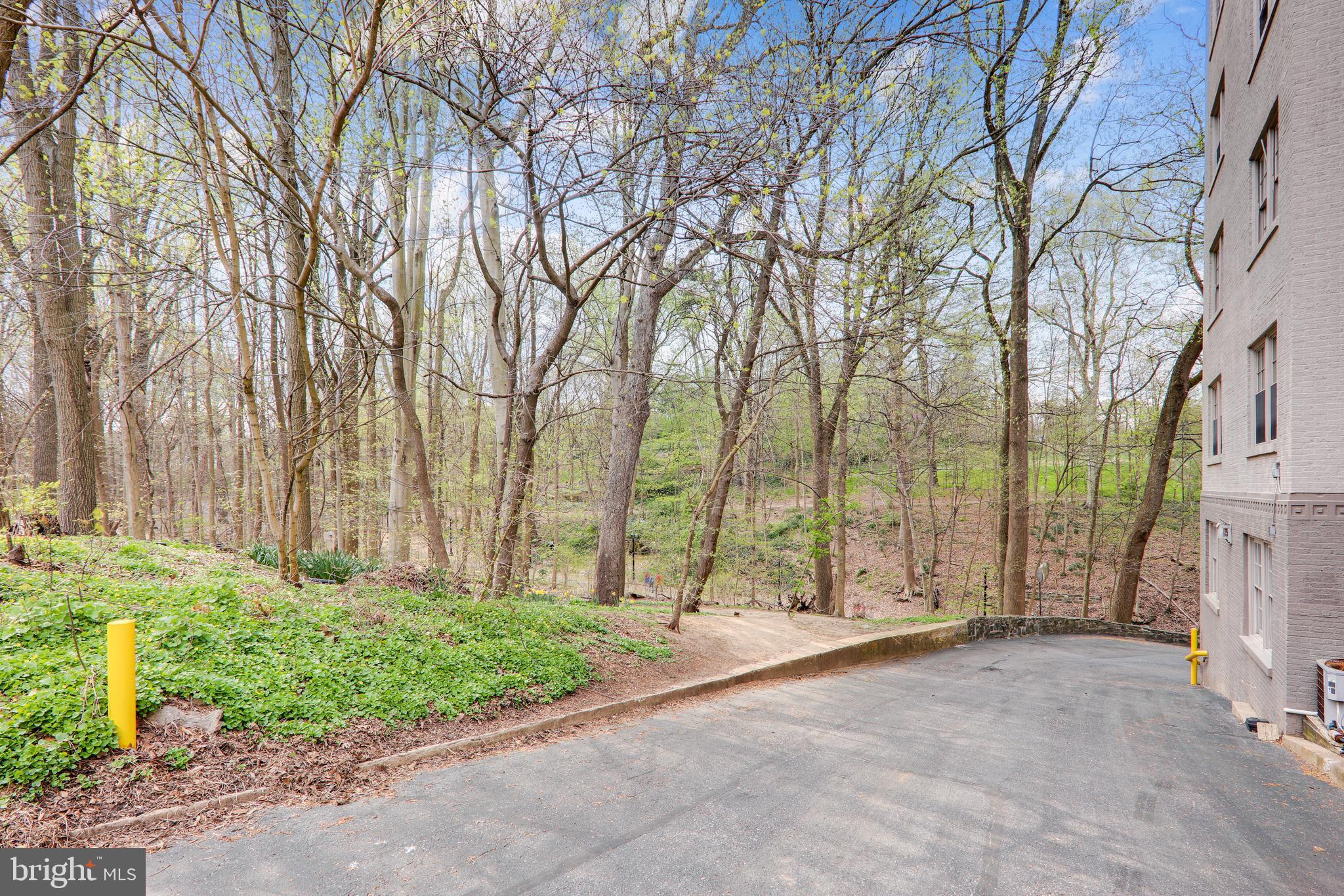 2737 Devonshire Place Northwest, Unit D Washington, DC 20008 - Photo 51 of 72