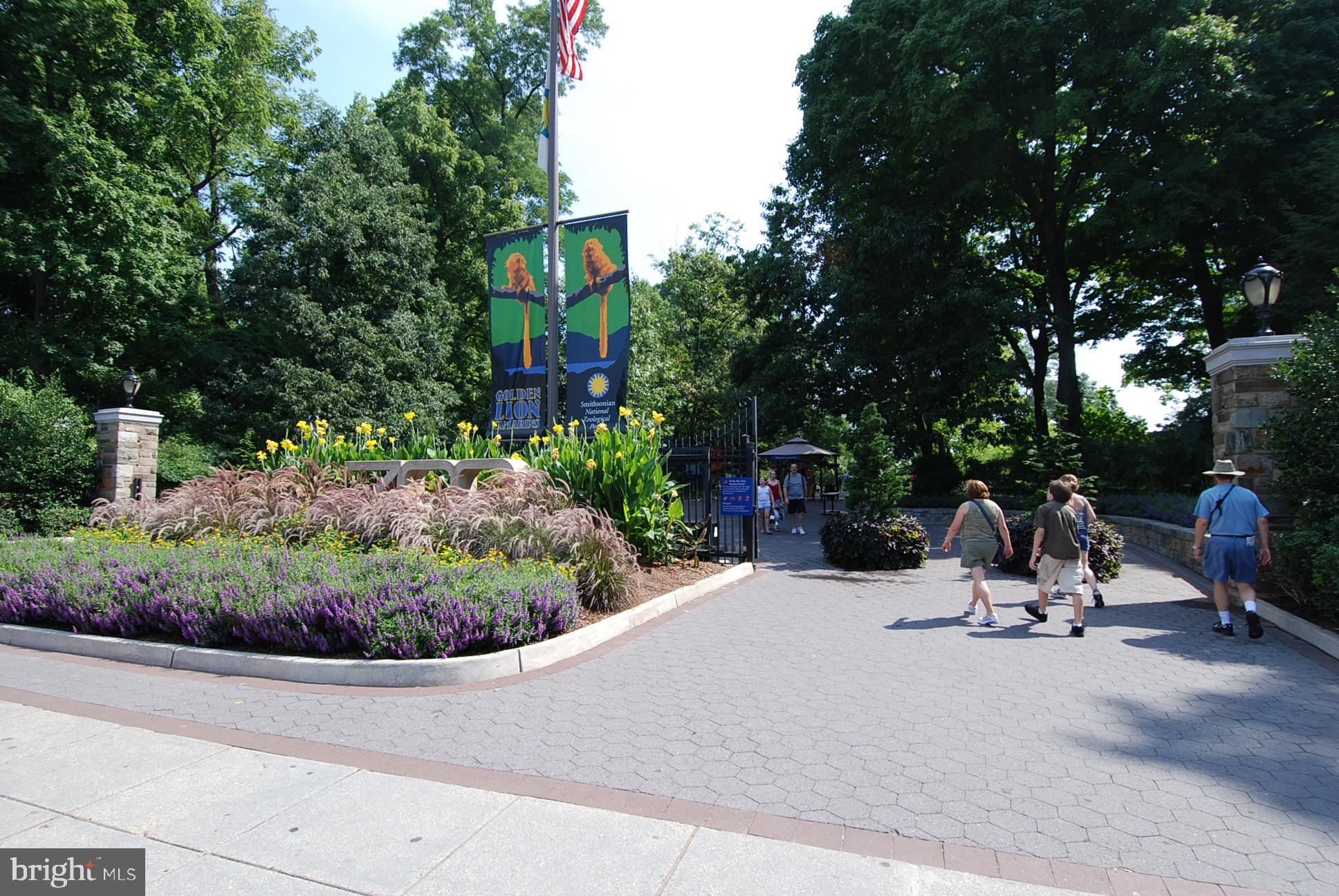 2737 Devonshire Place Northwest, Unit D Washington, DC 20008 - Photo 59 of 72