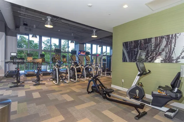 a view of a palm plant that is in front of a building