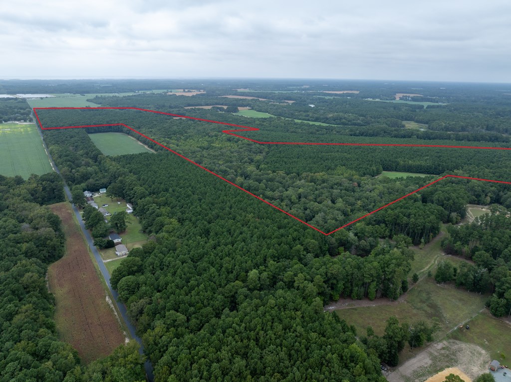 0 Whites Neck Road, Unit 140 Parksley, VA 23421 - Photo 2 of 10