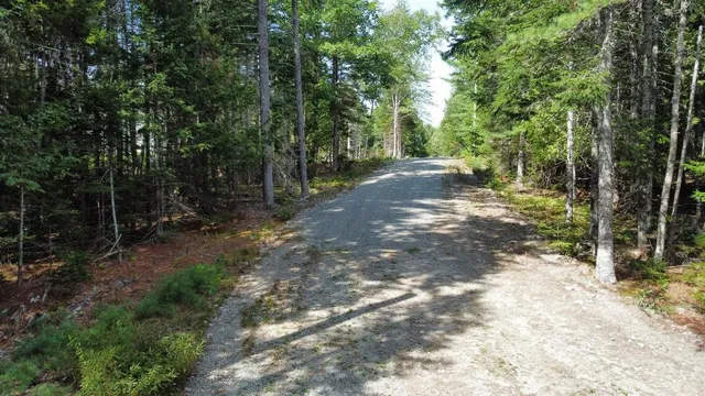$44,900 | Lot #3 Leonia Road, Hancock, ME 04640
