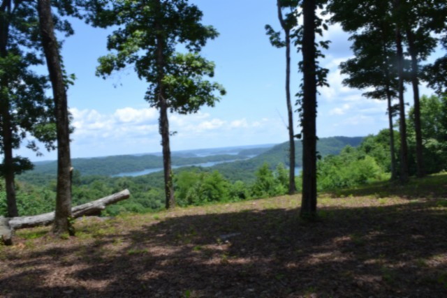 0 Rock Fish Road East Celina, TN 38551 - Photo 16 of 27