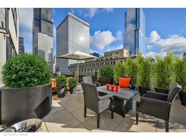 a view of a patio with couches chairs and a potted plant
