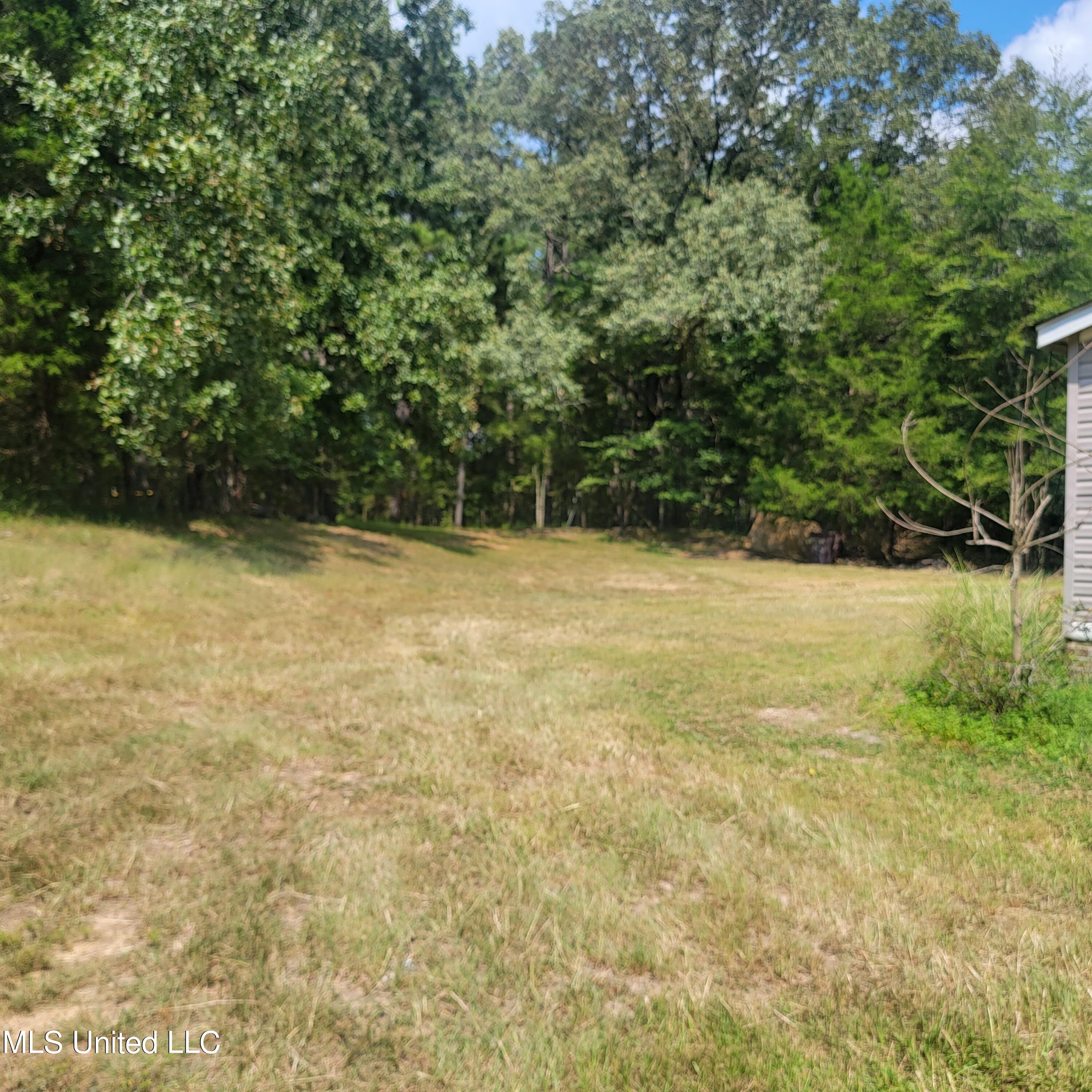 1846 Jason Way Byhalia, MS 38611 - Photo 29 of 34 20230822_143936
