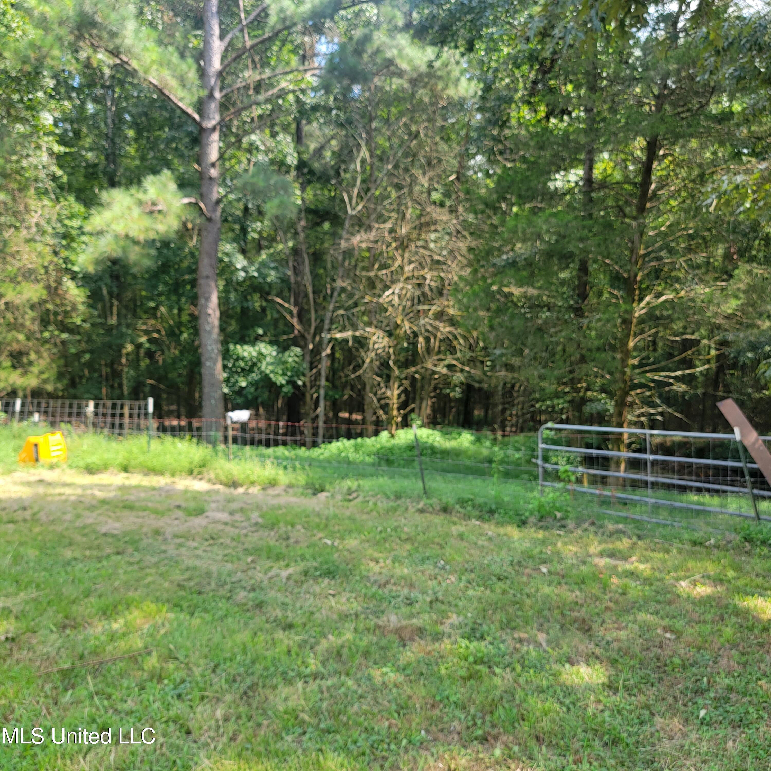 1846 Jason Way Byhalia, MS 38611 - Photo 31 of 34 20230822_144012