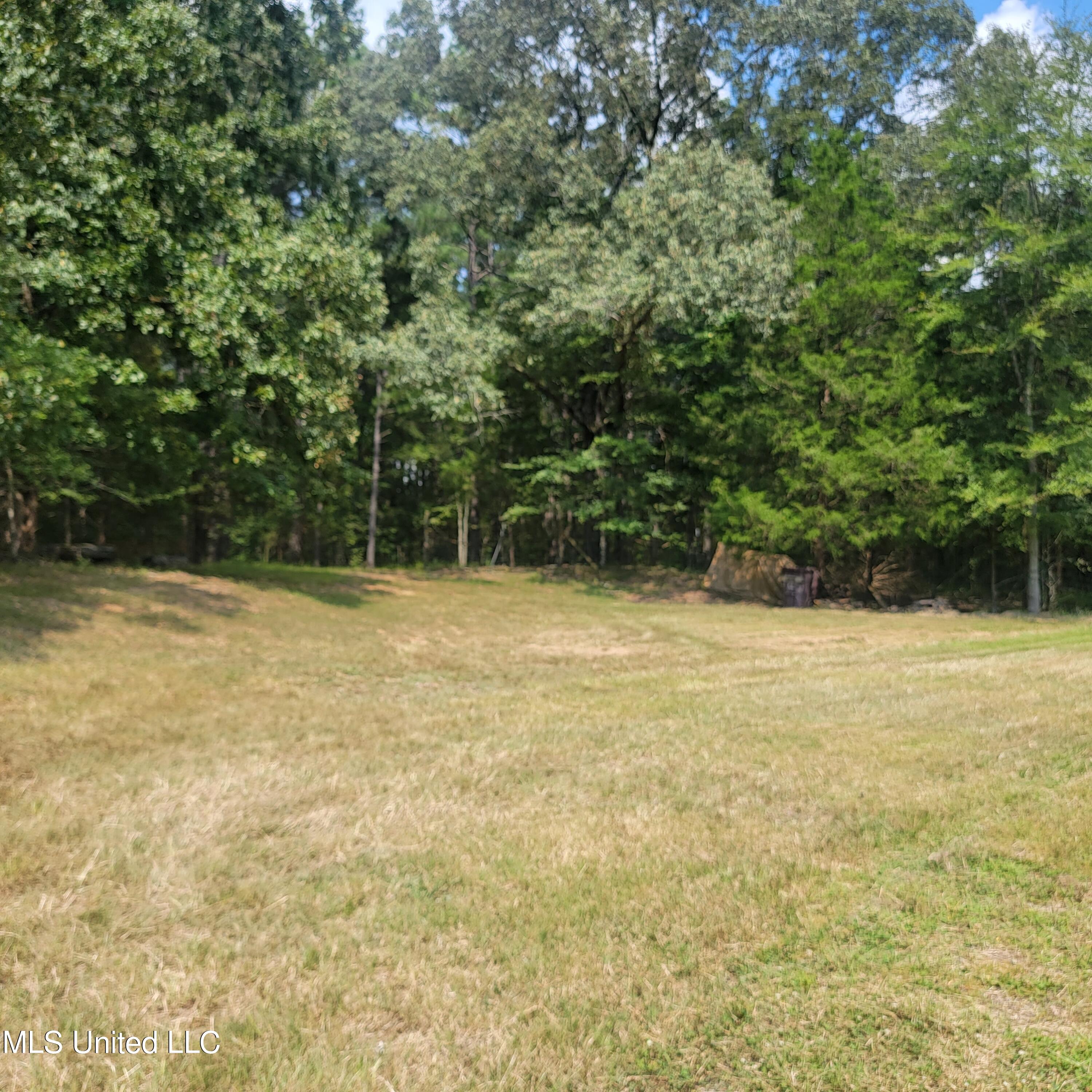 1846 Jason Way Byhalia, MS 38611 - Photo 33 of 34 20230822_144045