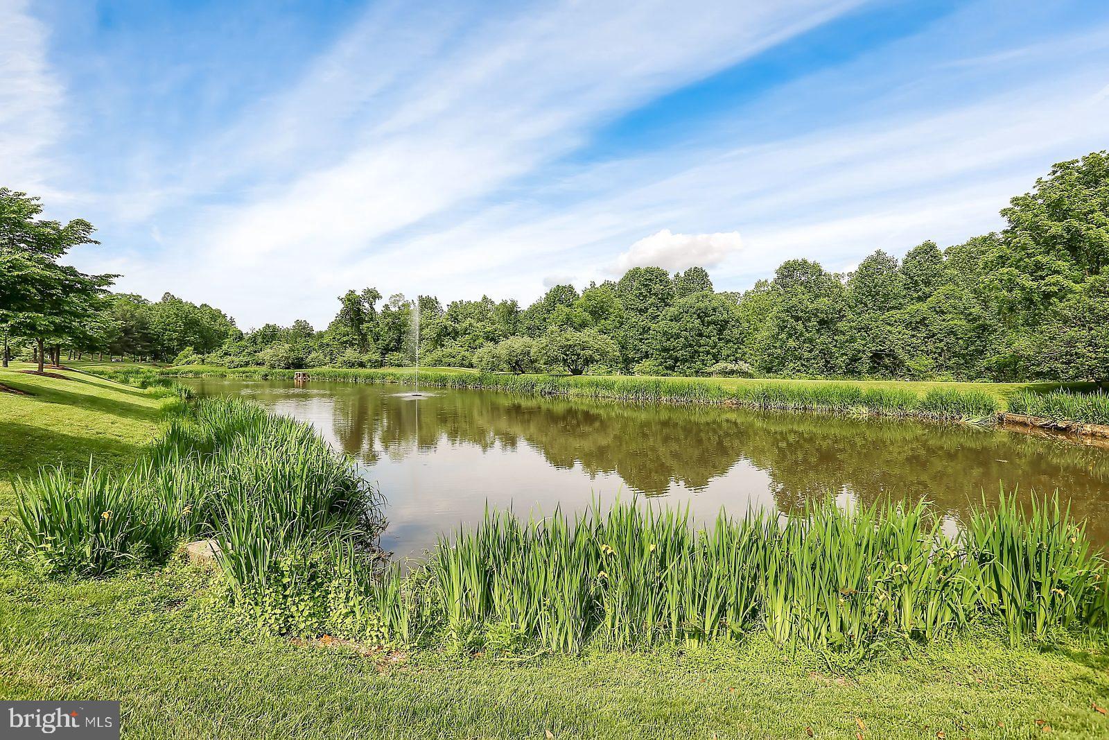 2331 Old Court Road, Unit 504 Baltimore, MD 21208 - Photo 33 of 37 Sit here and wait for the ducks to arrive