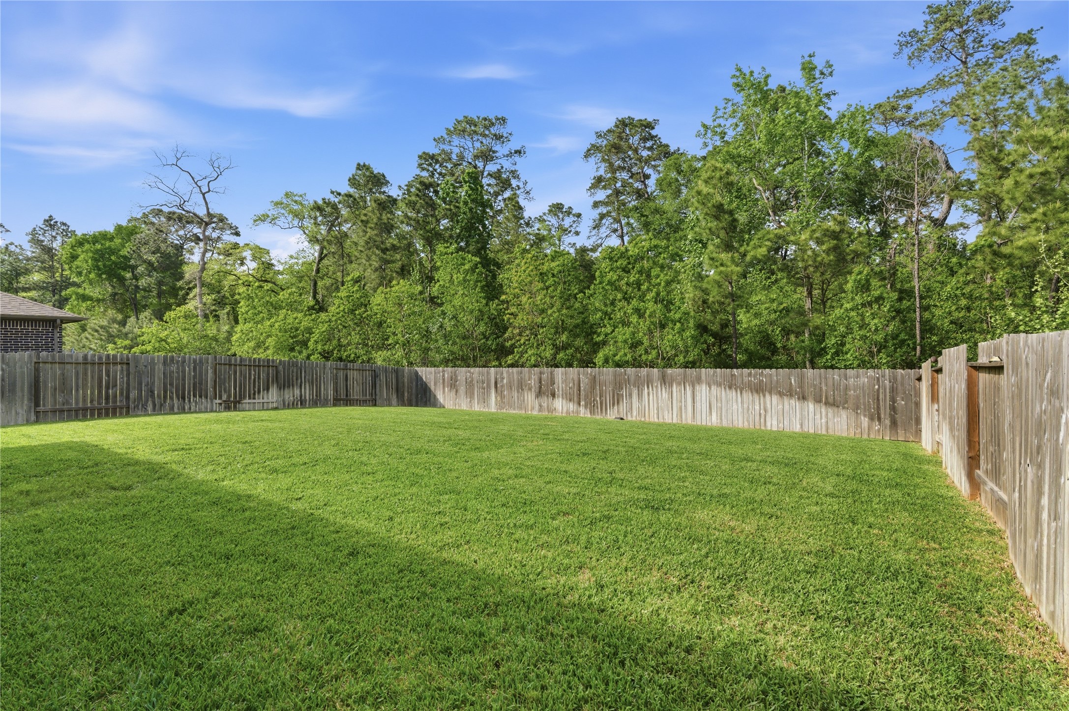 14108 Redfish Lake Conroe, TX 77384 - Photo 30 of 37 a view of a back yard