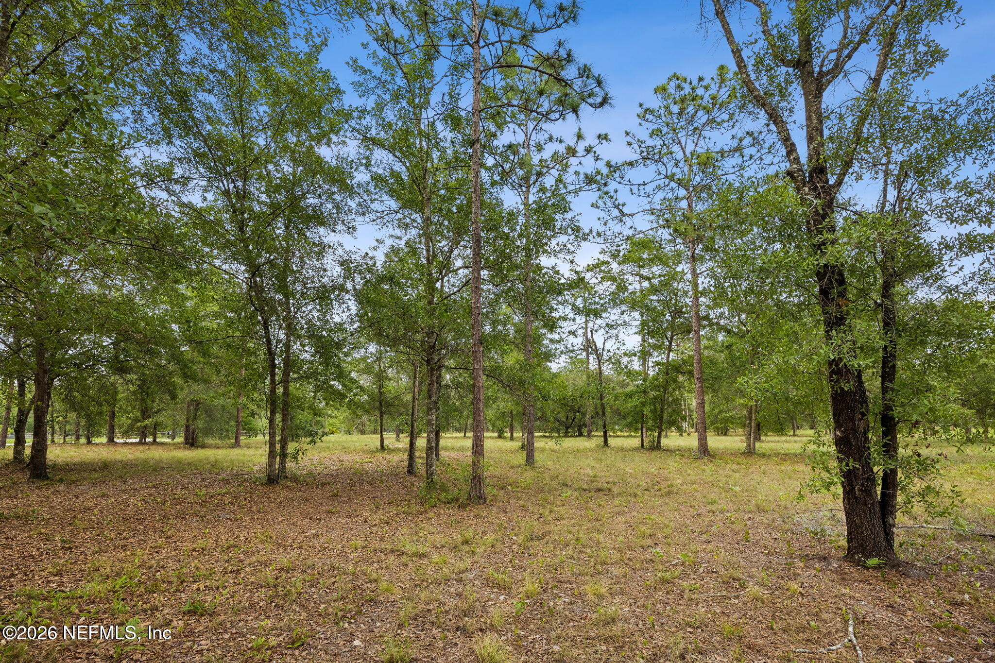 6015 Plantation Court Keystone Heights, FL 32656 - Photo 16 of 16 3-web-or-mls-6015 Plantation Ct-3