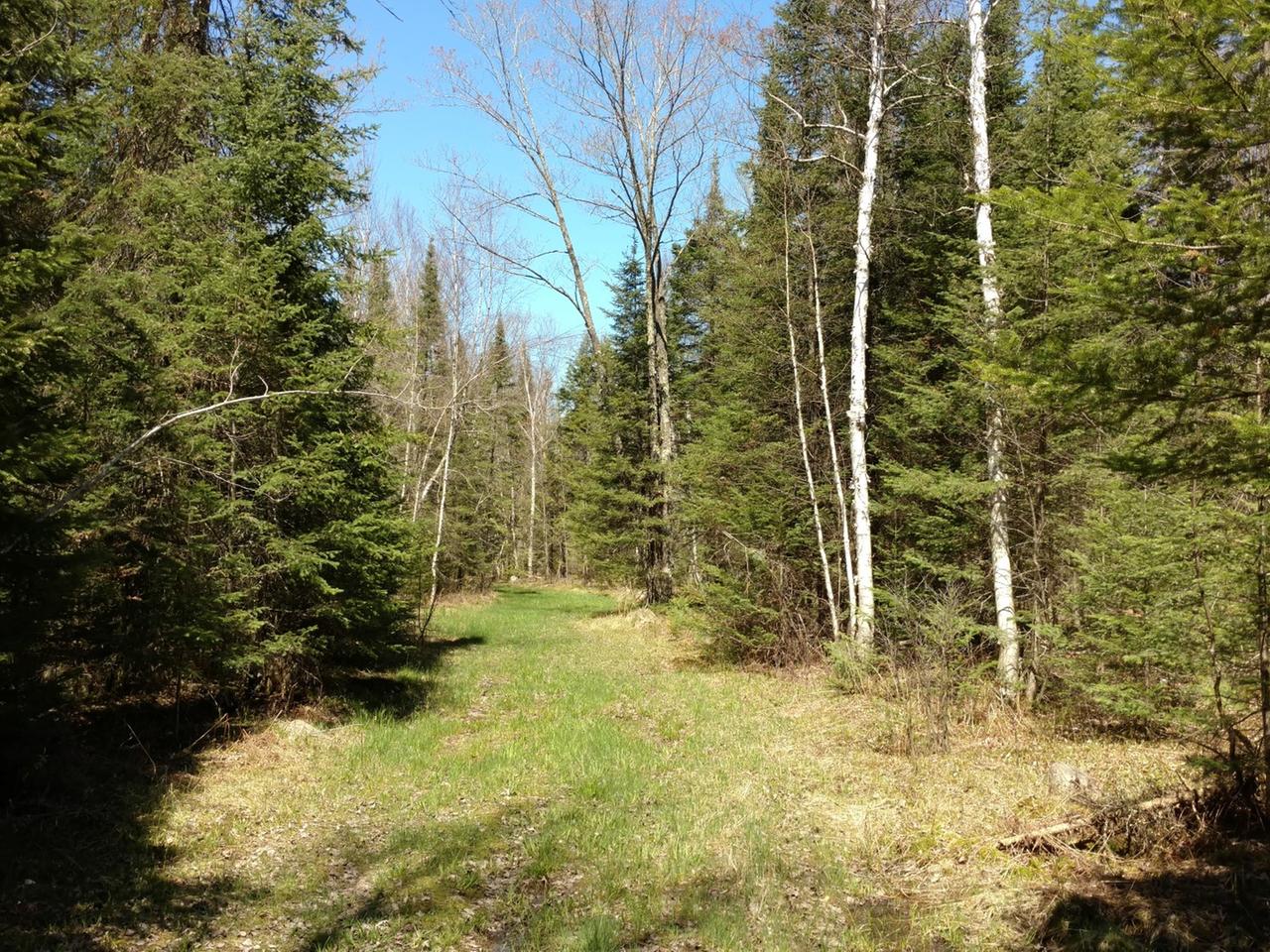 38-acres West Hackett Road Prentice, WI 54556 - Photo 4 of 12 Gallery Image 4