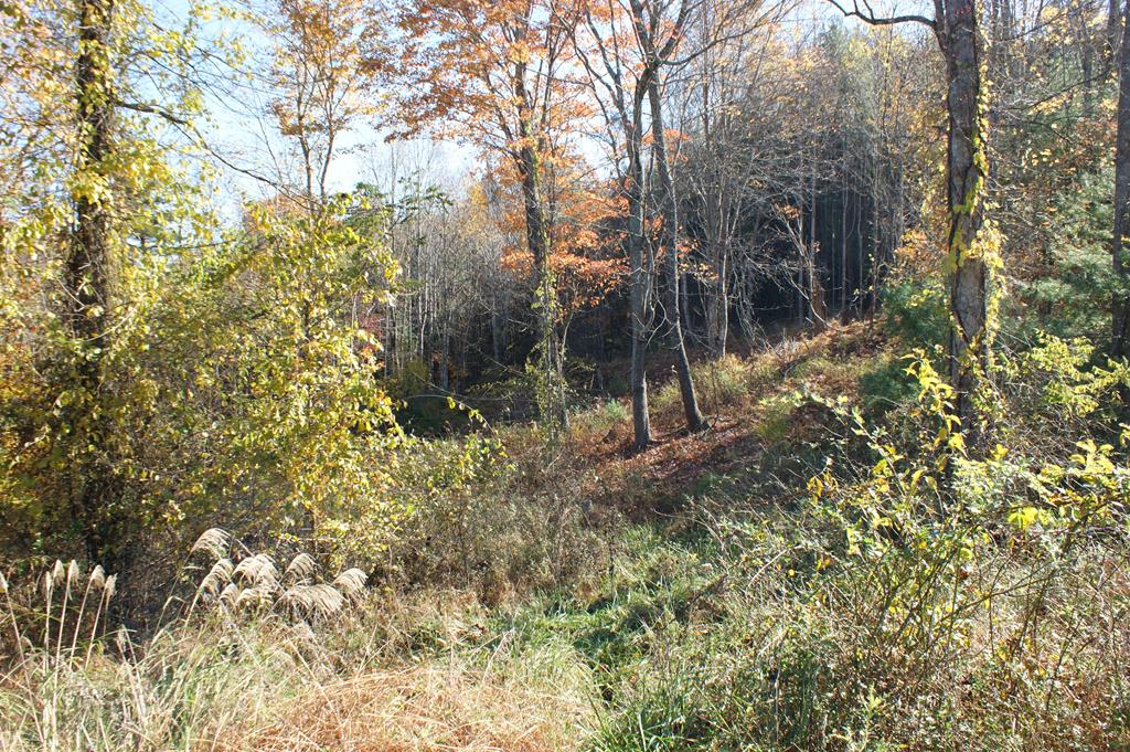Tbd Gambetta Road, Unit 71 Galax, VA 24333 - Photo 1 of 3 Gallery Image 1