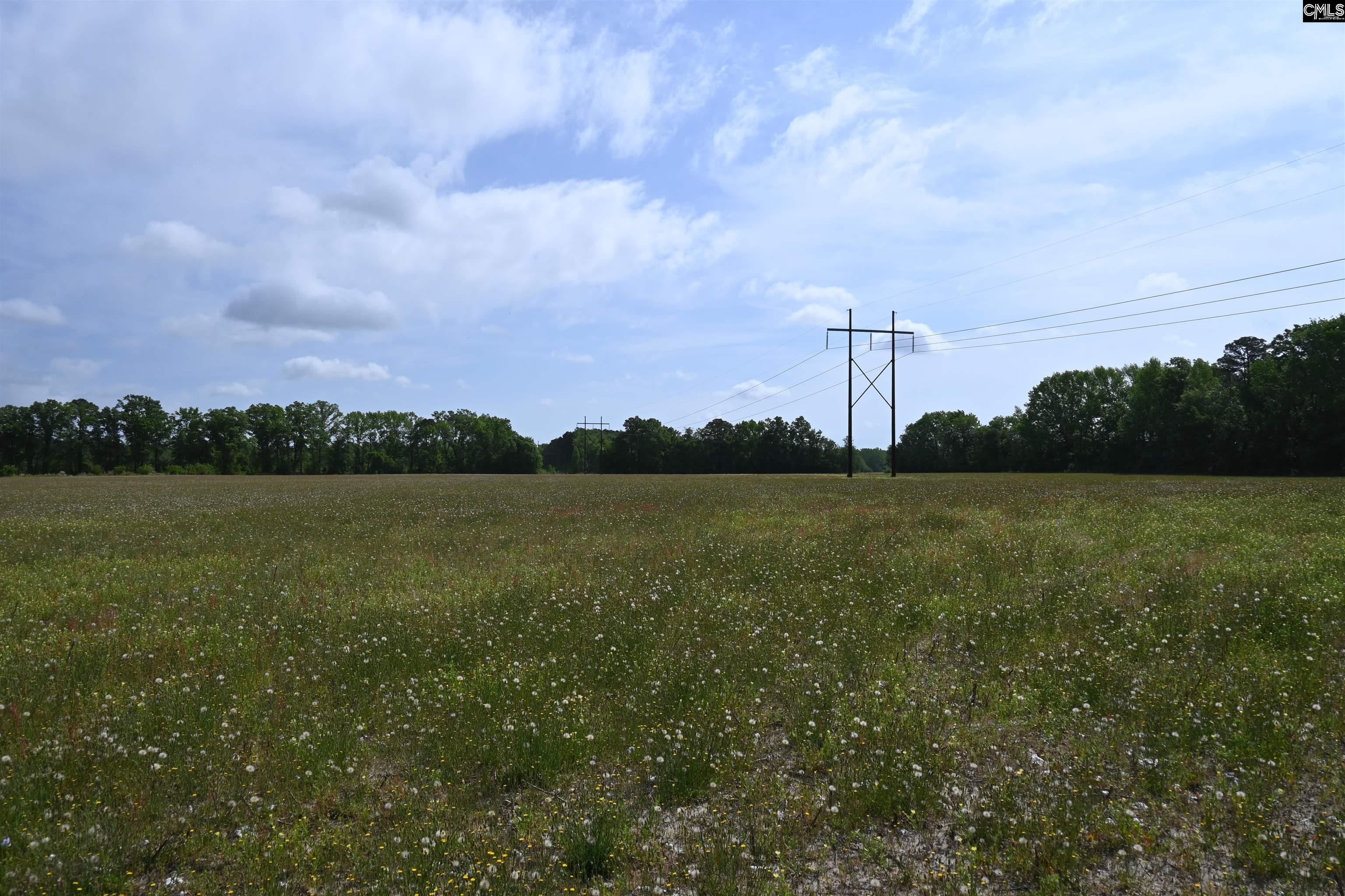 Tbd Gallowaytown Road Hartsville, SC 29550 - Photo 16 of 34