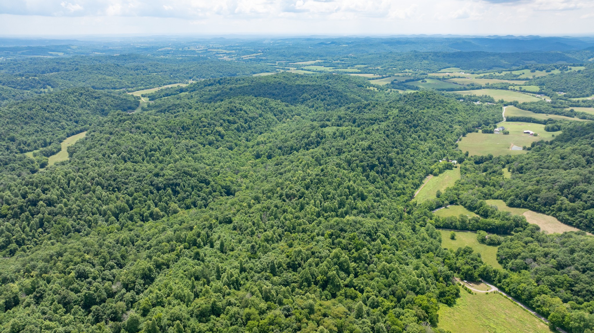 582 Cedar Bend Road Beechgrove, TN 37018 - Photo 29 of 32