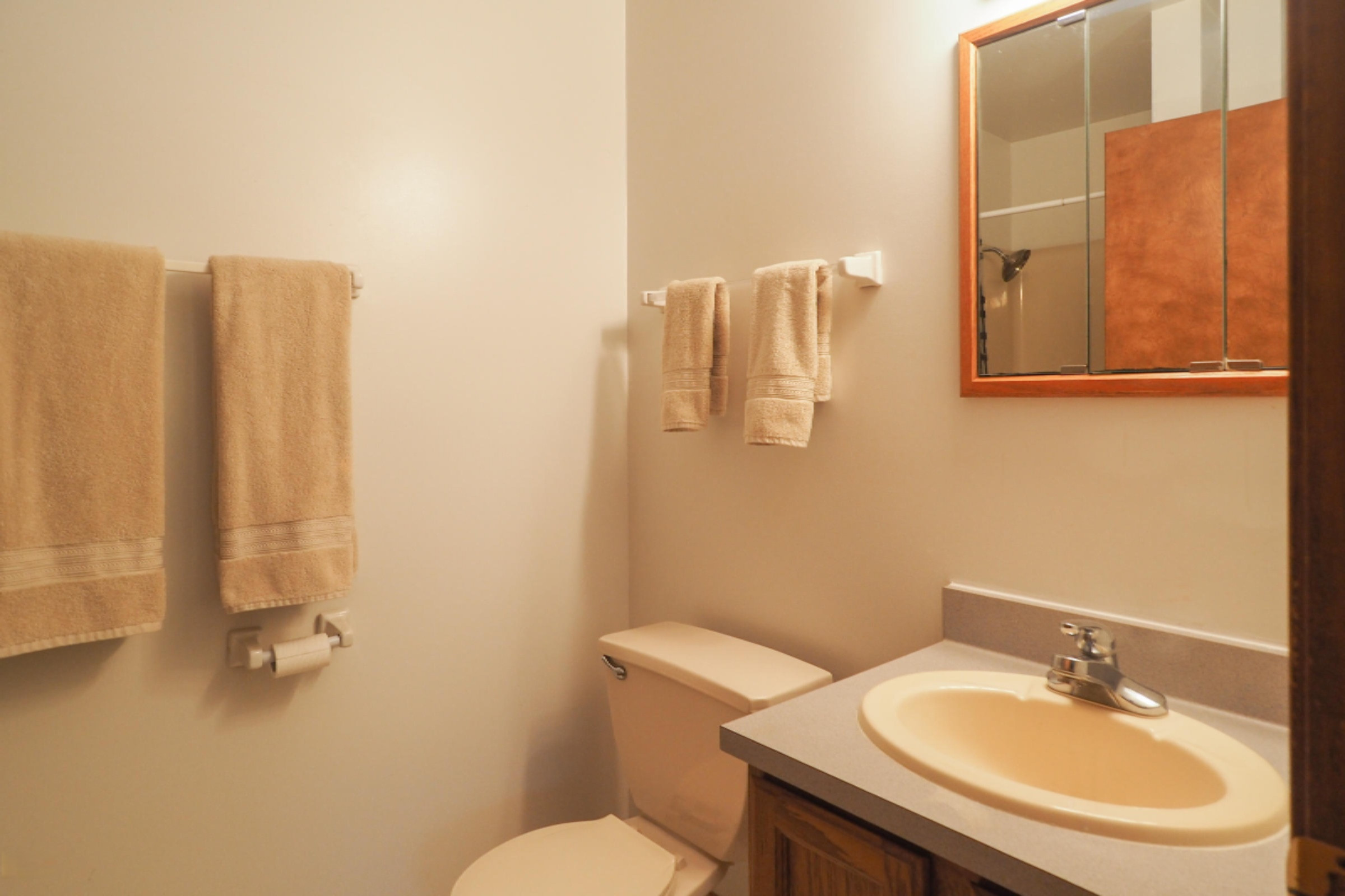 19452 Homer Road Marshall, MI 49068 - Photo 12 of 23 19452 Homer Rd.-111