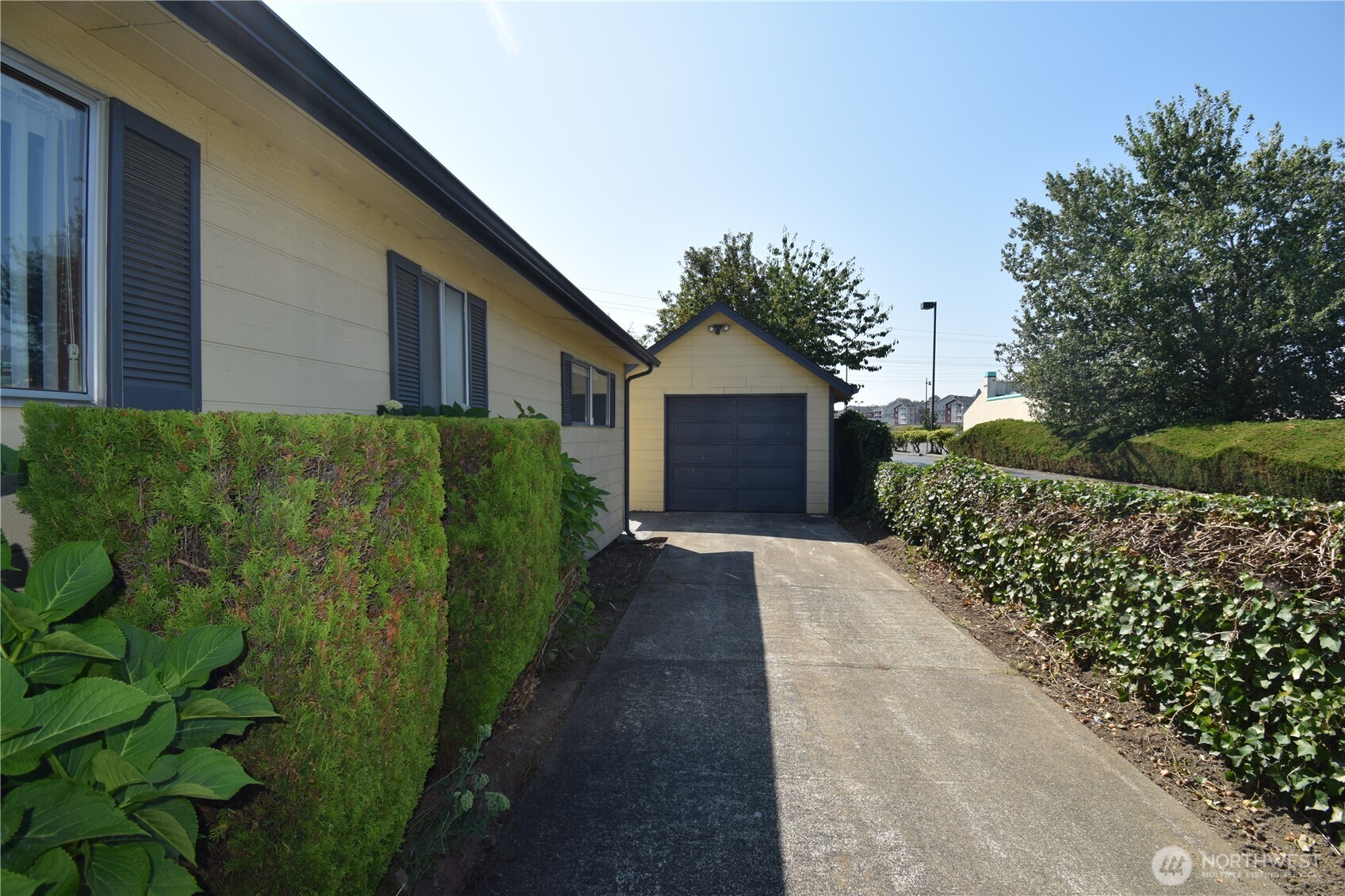 601 Shattuck Avenue South Renton, WA 98057 - Photo 9 of 29 Gallery Image 9