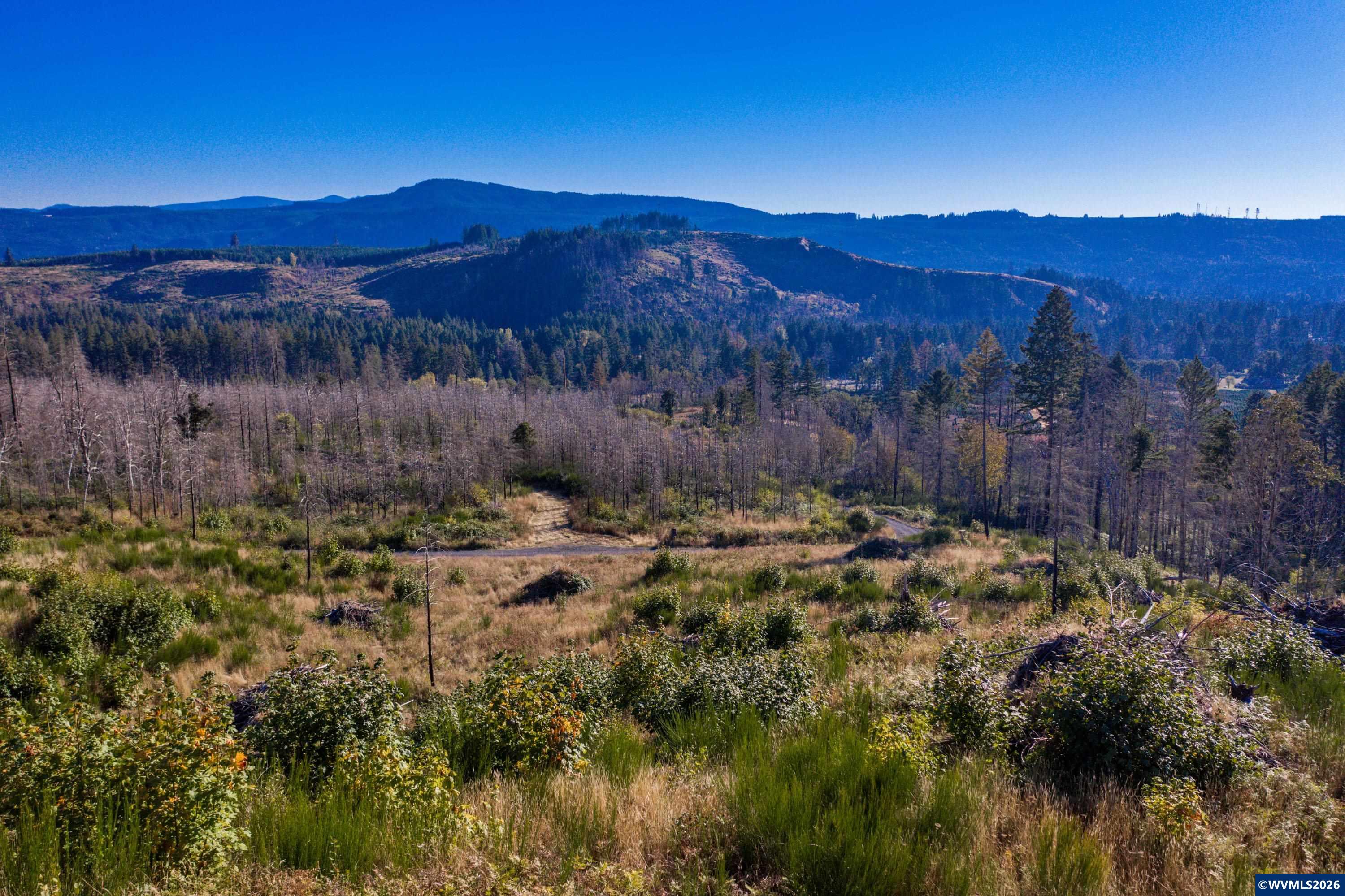 10915 Southeast Kubin Road Lyons, OR 97358 - Photo 31 of 37 a view of a yard with a mountain