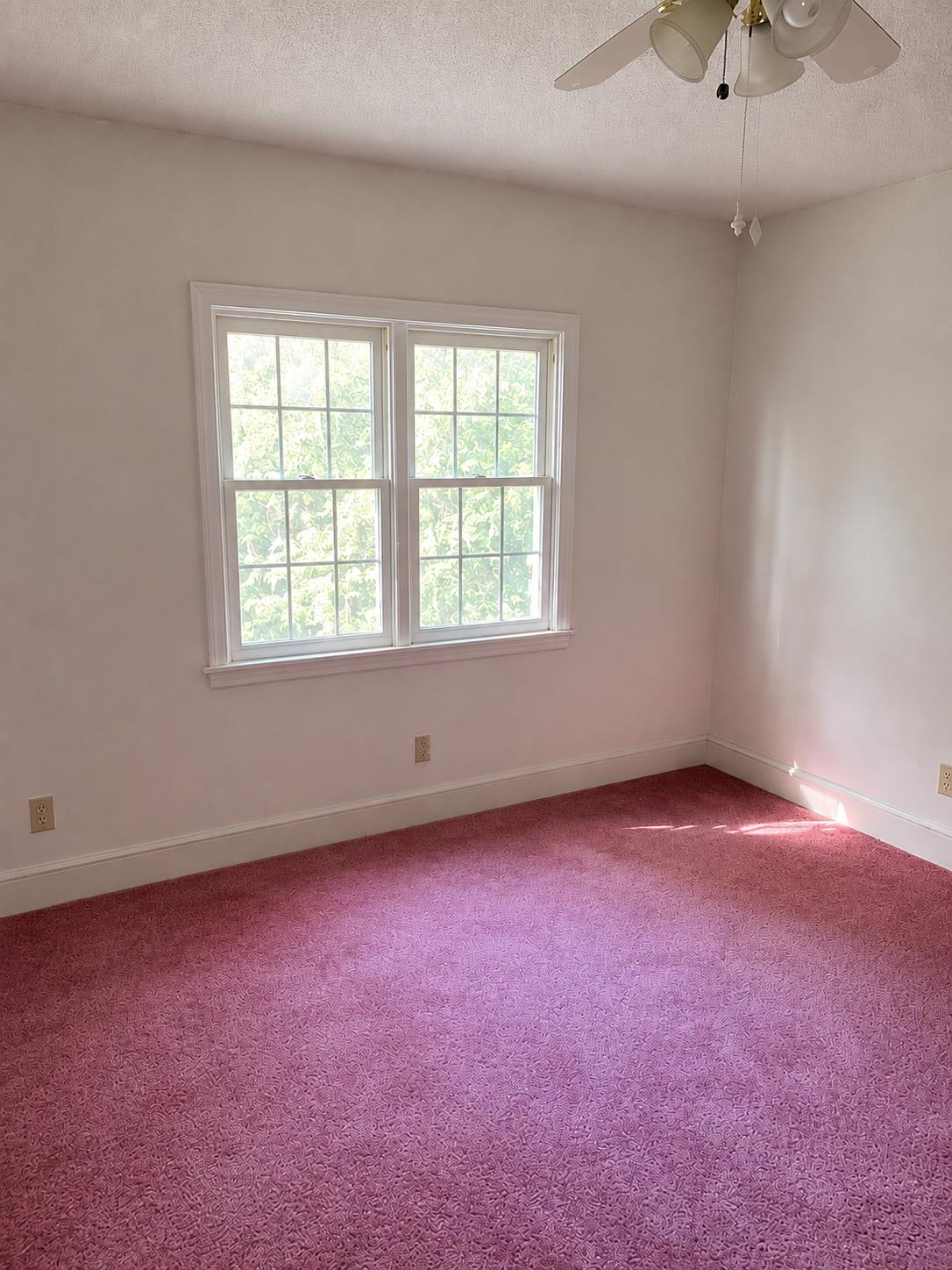 1320 Horseshoe Road Mullins, SC 29574 - Photo 14 of 26
