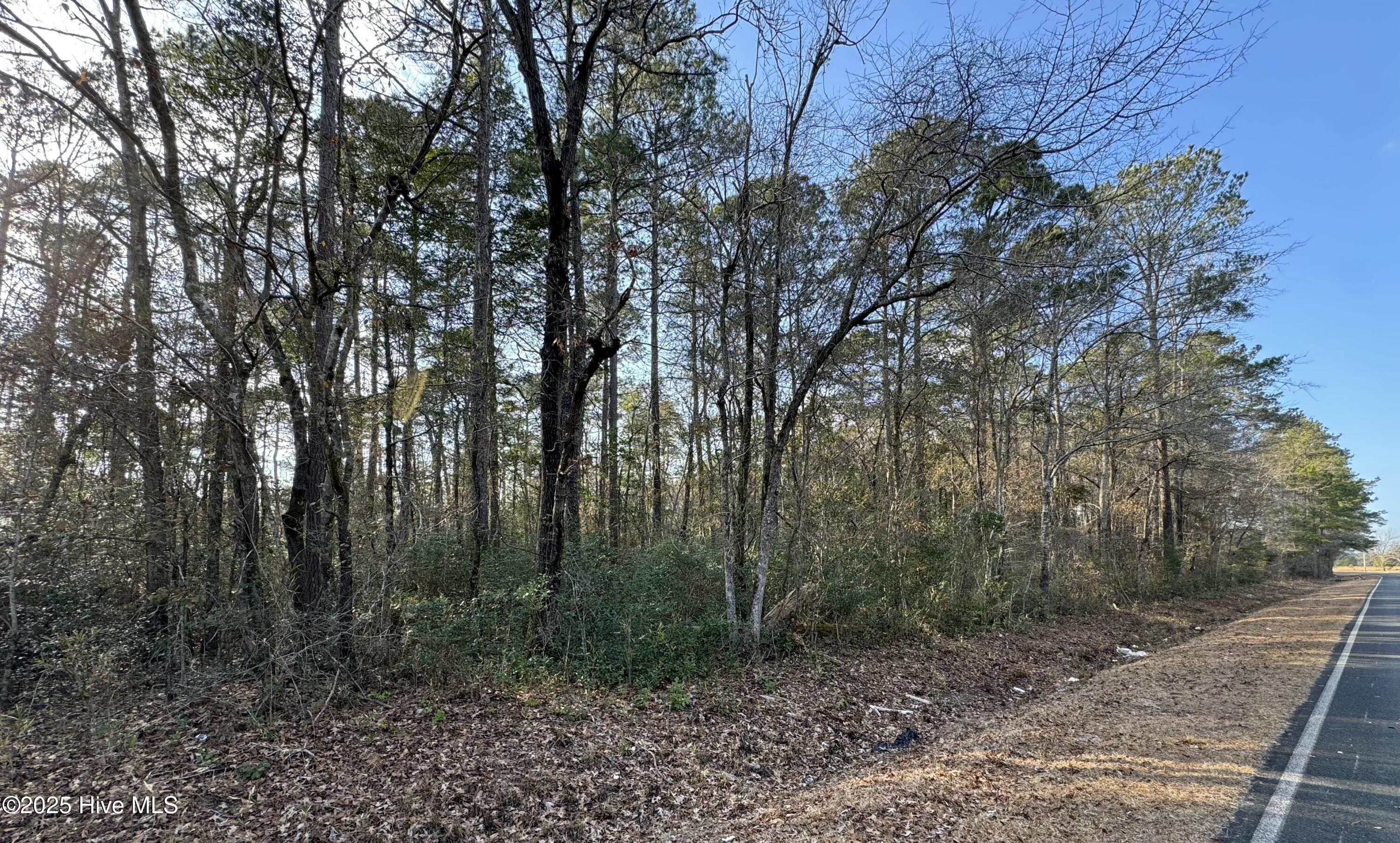 307 Rough Horn Road Evergreen, NC 28438 - Photo 3 of 4 tempImageWvRkRk