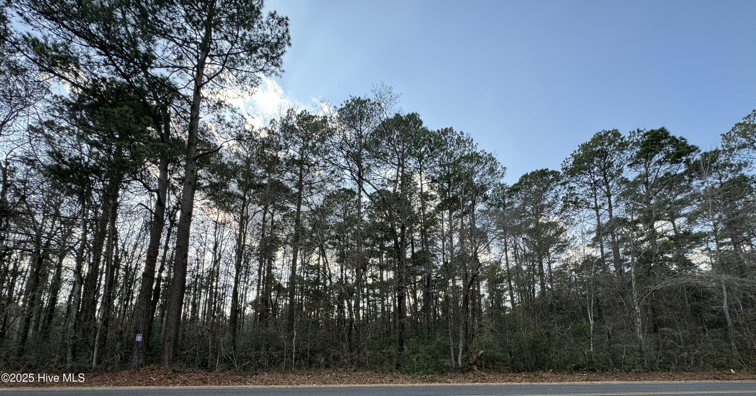 307 Rough Horn Road Evergreen, NC 28438 - Photo 4 of 4 tempImage8qChJs