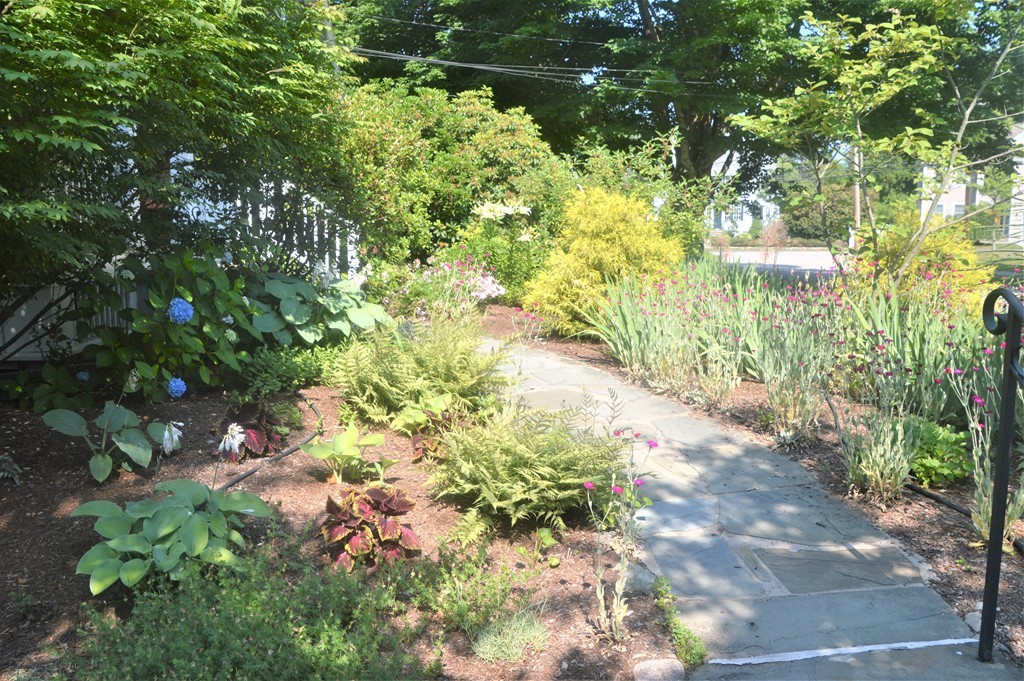 78 Walnut Street Needham, MA 02492 - Photo 21 of 24 a backyard of a house with lots of green space and garden in the back