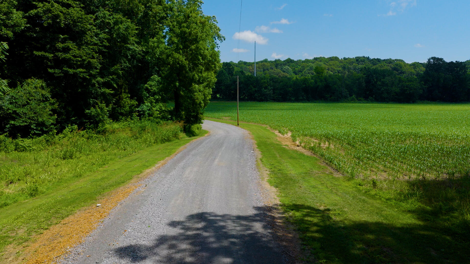 5279 State Line Road East Hazel, KY 42049 - Photo 67 of 93 42