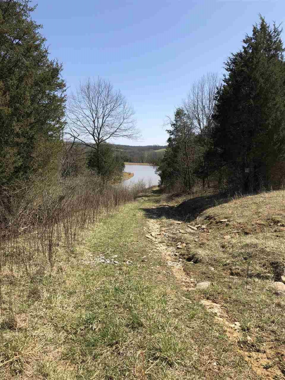 5651 Bridgeville Road Brooksville, KY 41004 - Photo 6 of 29 Gallery Image 6