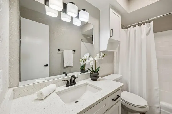 a bathroom with a sink a toilet and a mirror
