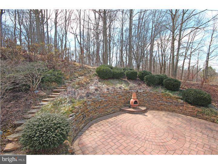 141 Watson Mill Road Landenberg, PA 19350 - Photo 4 of 25 Back Yard