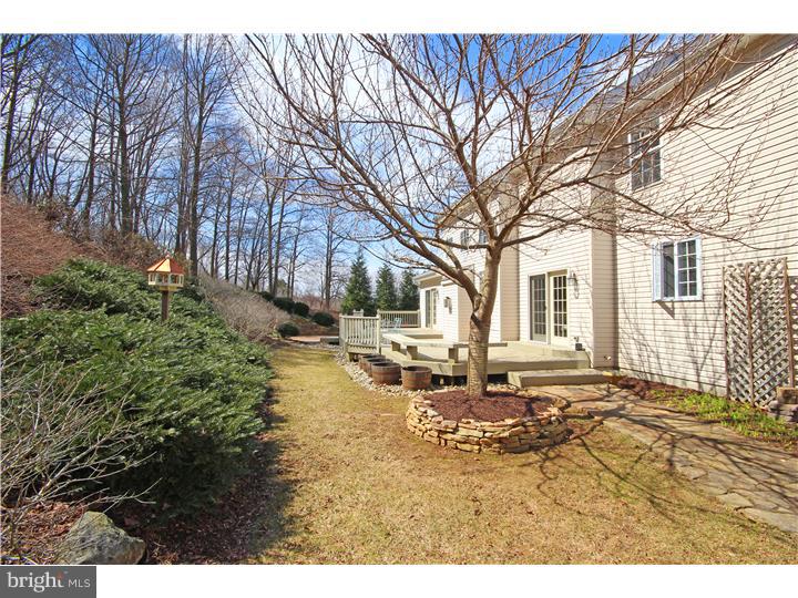 141 Watson Mill Road Landenberg, PA 19350 - Photo 5 of 25 Back Yard