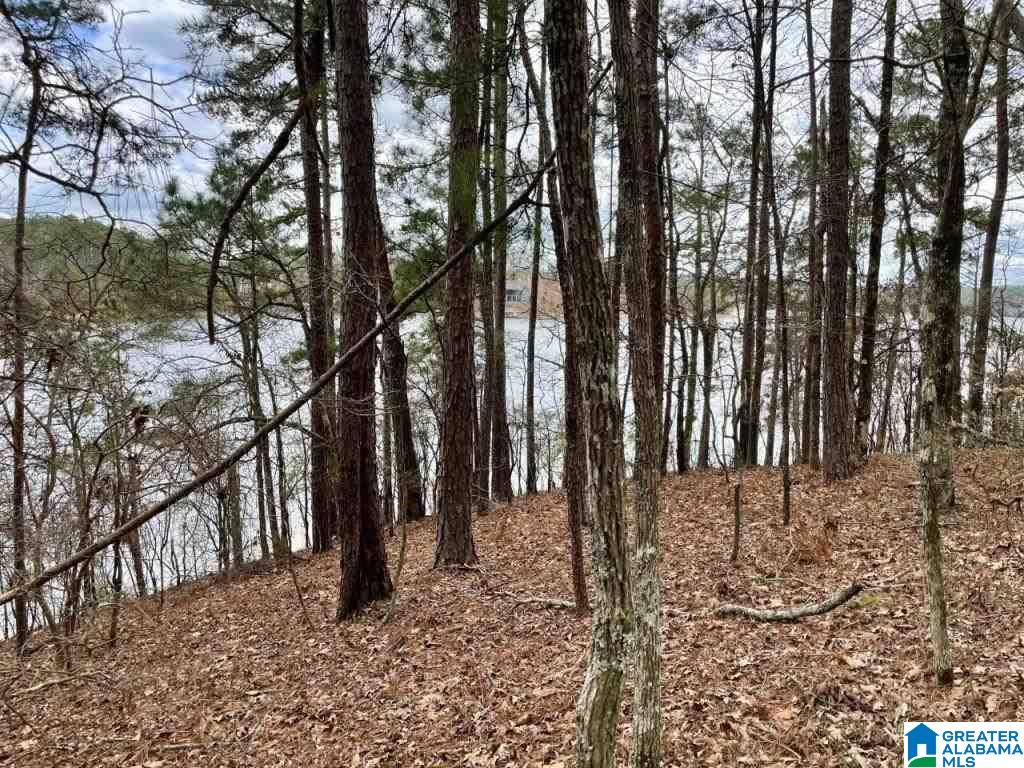 897 County Road, Unit 6 Wedowee, AL 36278 - Photo 5 of 6