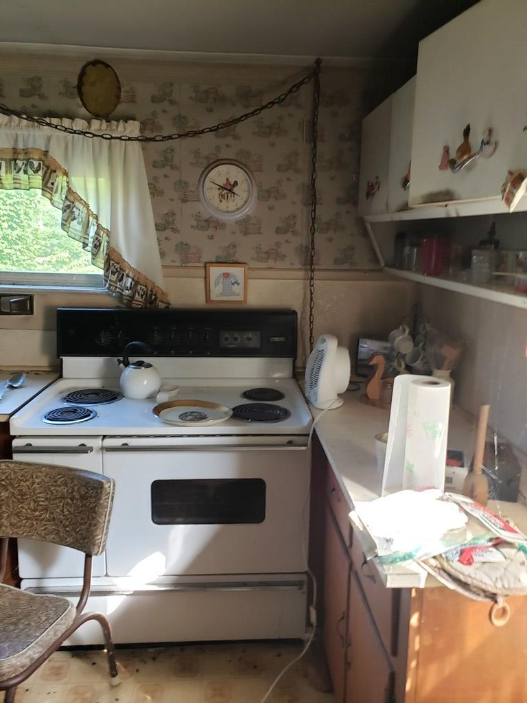433 Old Bank Road Speedwell, VA 24374 - Photo 20 of 30 Gallery Image 20